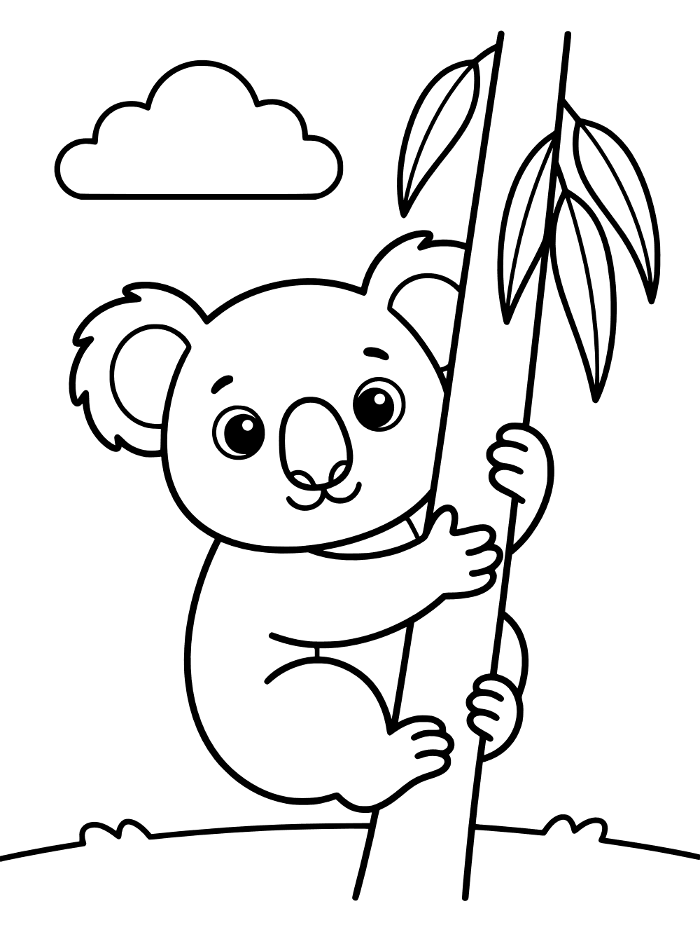 Koala